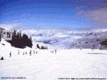 Whistler Mountain 800x600